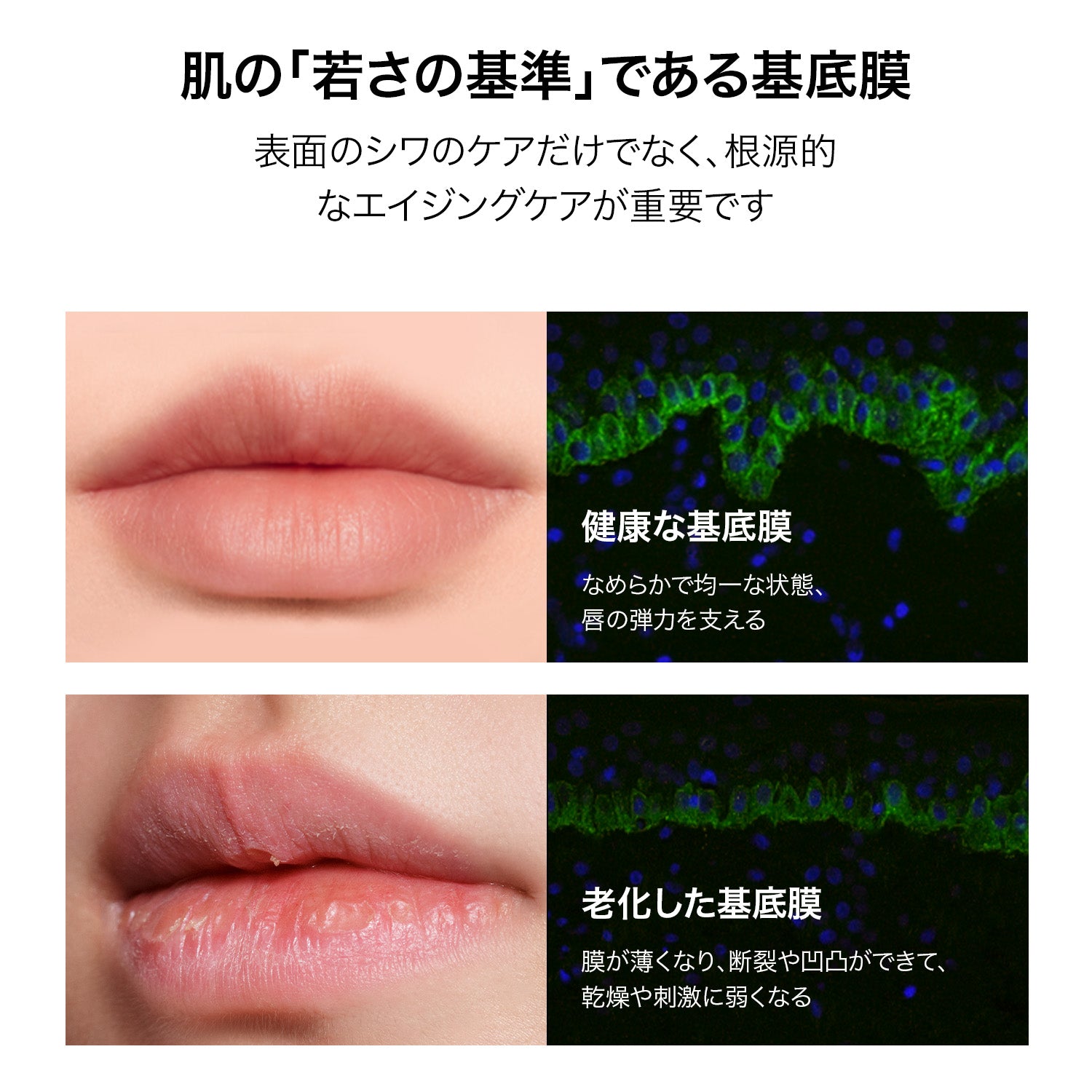 バイオリップ エッセンス リップスティック 723  &amp; 725